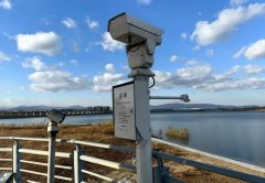 鸟儿自由翱翔、垂头寻食；为生态取修复